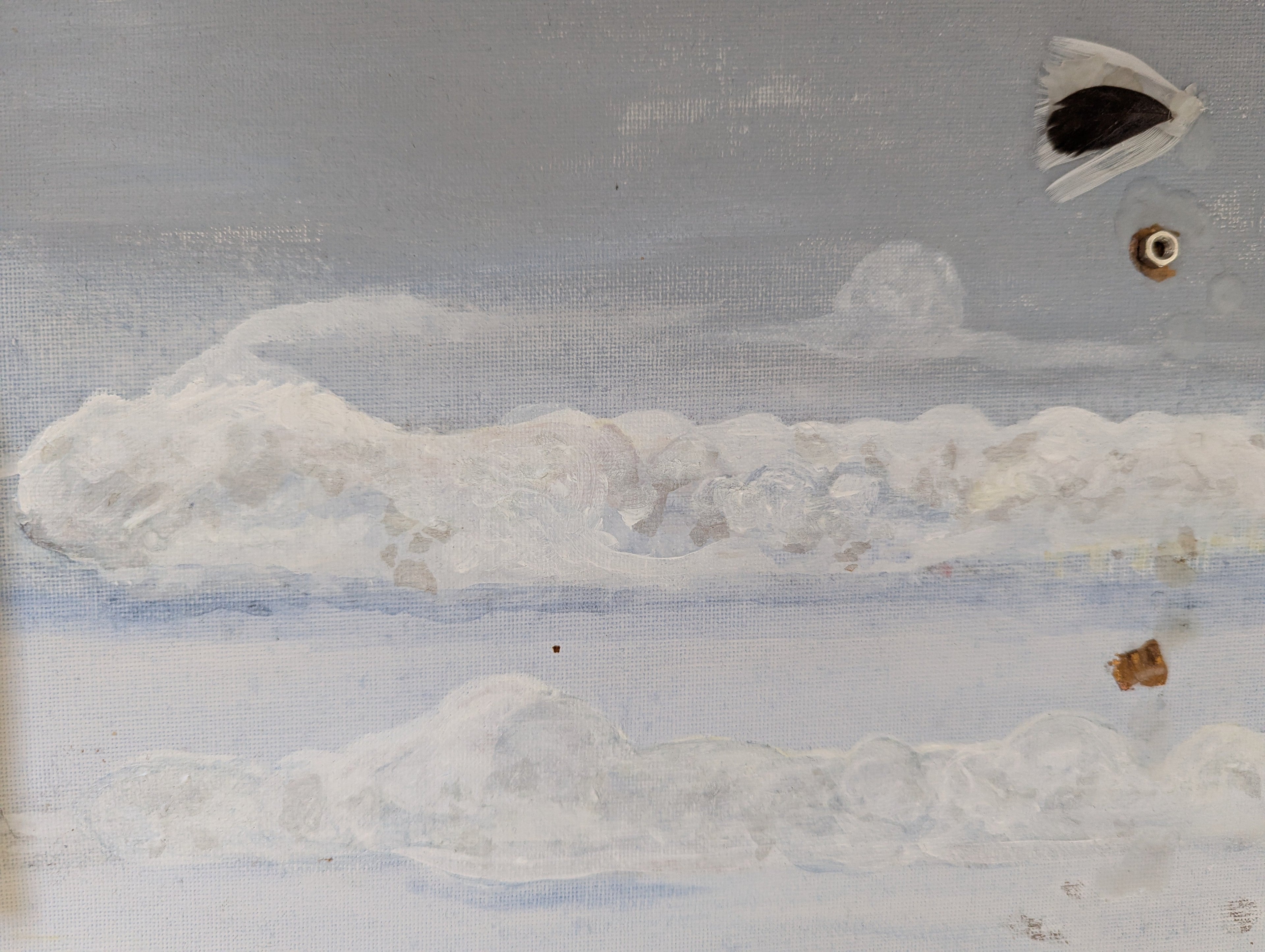 Reflections on Art: Humanity, Nature and Consequence.