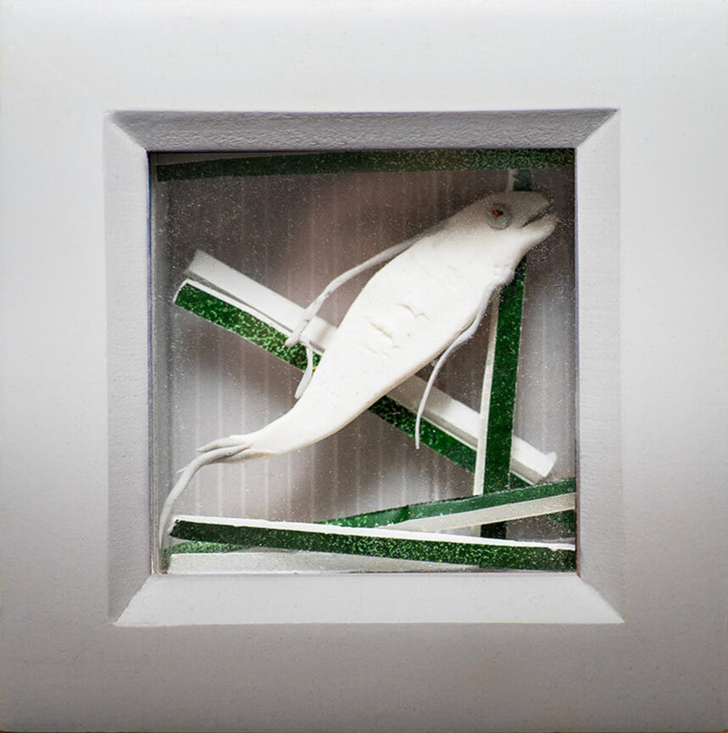 amphibian in a frame