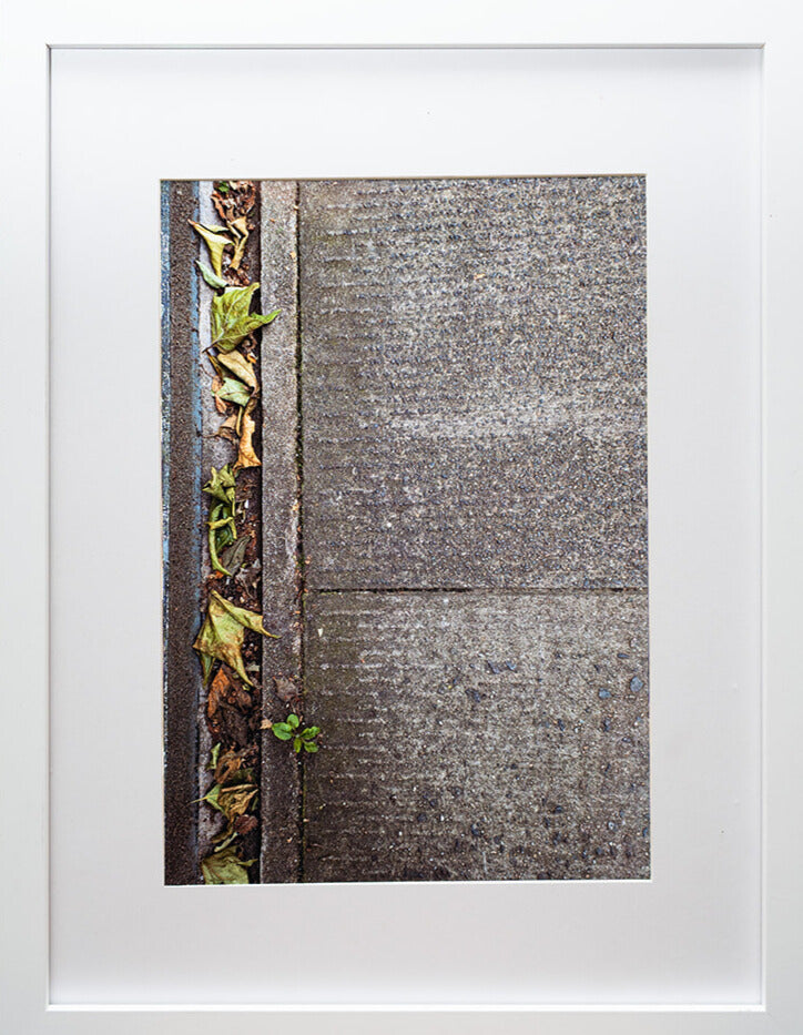 photo of a pavement and grass in a frame 